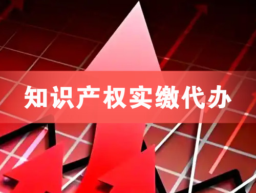定西知识产权实缴资本代办